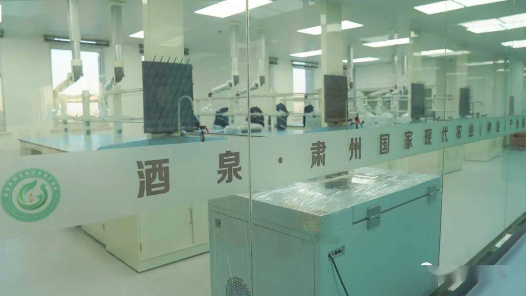 酒泉种子研究中心项目 - 图片5